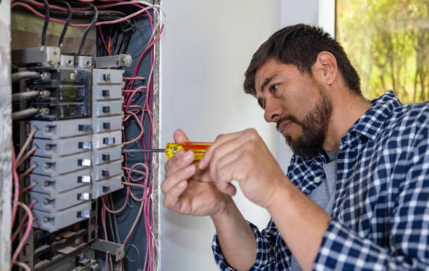 Best Electrical Repair Services  in Niwot, CO